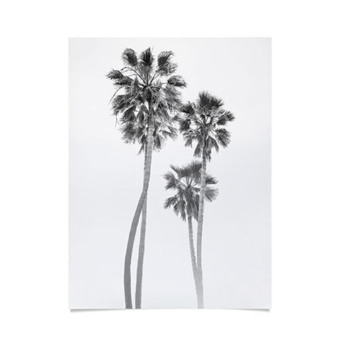 Bethany Young Photography Monochrome California Palms Poster
