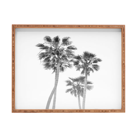 Bethany Young Photography Monochrome California Palms Rectangular Tray