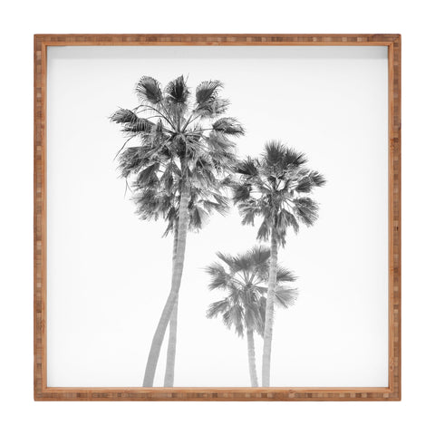 Bethany Young Photography Monochrome California Palms Square Tray