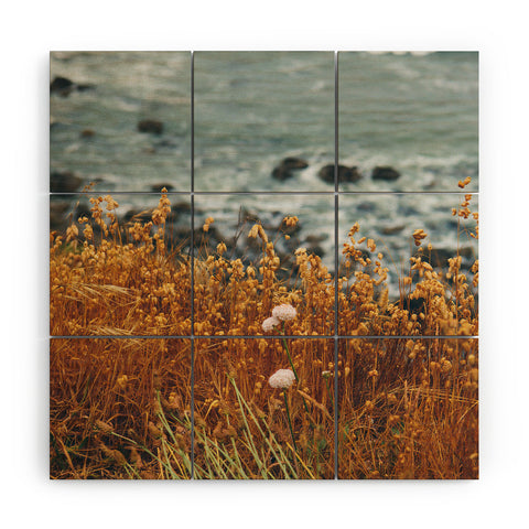 Bethany Young Photography Northern California Coast Wood Wall Mural