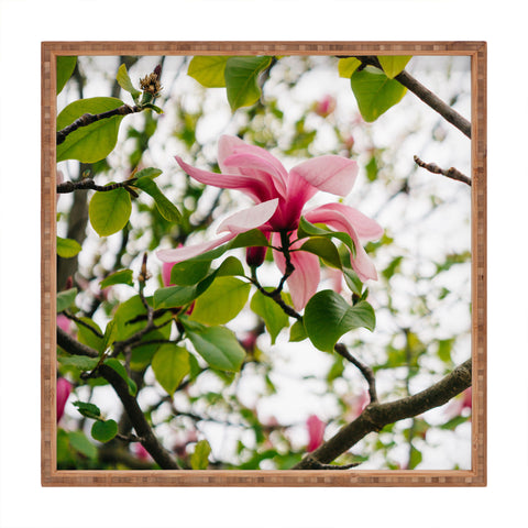 Bethany Young Photography Paris Garden VII Square Tray