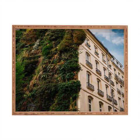 Bethany Young Photography Parisian Vertical Garden III Rectangular Tray