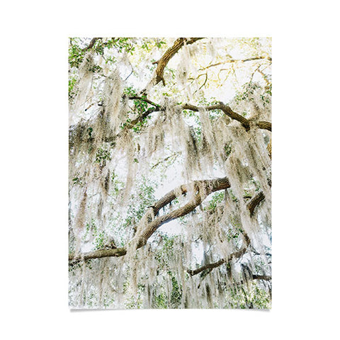 Bethany Young Photography Savannah Spanish Moss XIV Poster