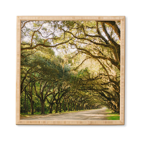 Bethany Young Photography Savannah Wormsloe Historic I Framed Wall Art