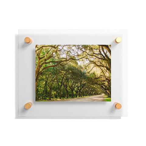 Bethany Young Photography Savannah Wormsloe Historic I Floating Acrylic Print