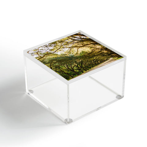 Bethany Young Photography Savannah Wormsloe Historic I Acrylic Box