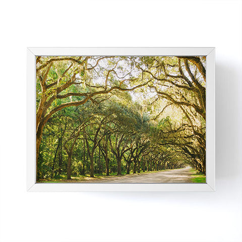 Bethany Young Photography Savannah Wormsloe Historic I Framed Mini Art Print