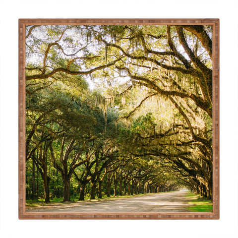 Bethany Young Photography Savannah Wormsloe Historic I Square Tray