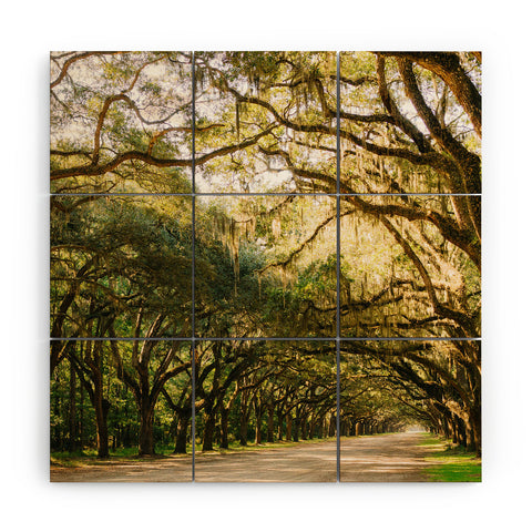 Bethany Young Photography Savannah Wormsloe Historic I Wood Wall Mural