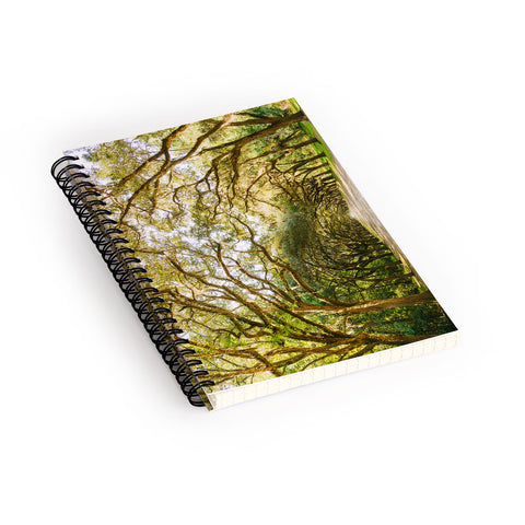 Bethany Young Photography Savannah Wormsloe Historic II Spiral Notebook
