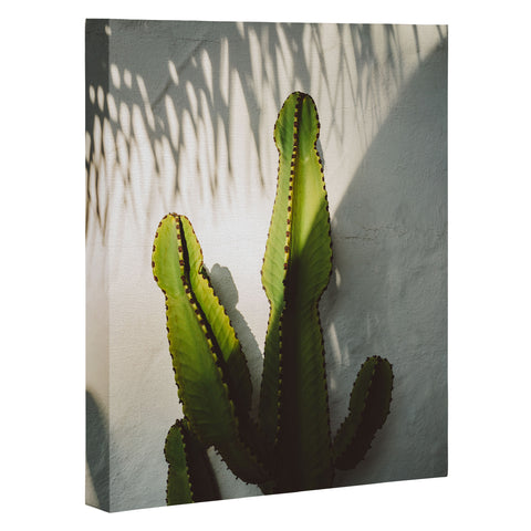 Bethany Young Photography SoCal Shadows Art Canvas