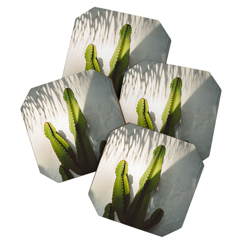 Bethany Young Photography SoCal Shadows Coaster Set