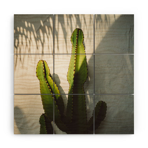 Bethany Young Photography SoCal Shadows Wood Wall Mural
