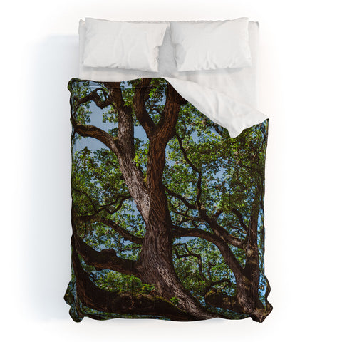 Bethany Young Photography Texas Cottonwood Comforter