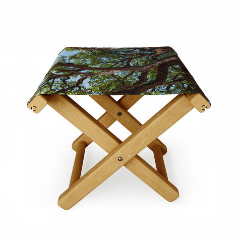 Bethany Young Photography Texas Cottonwood Folding Stool
