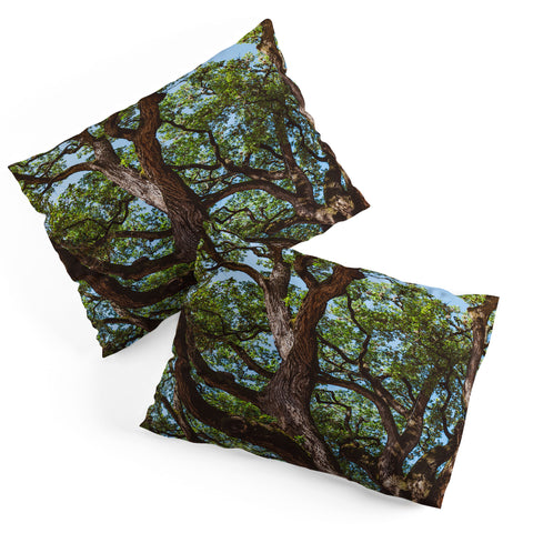 Bethany Young Photography Texas Cottonwood Pillow Shams