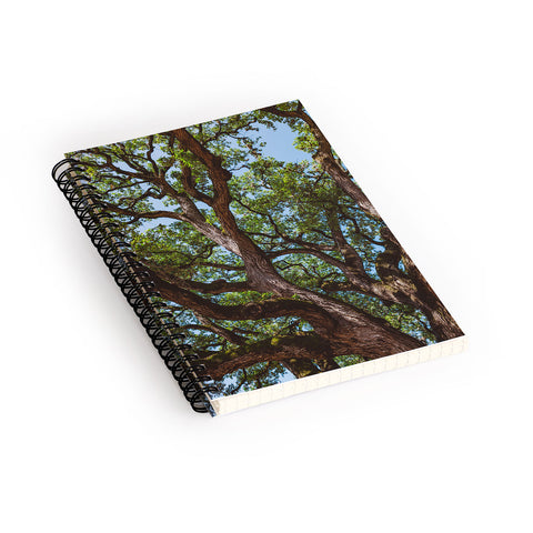 Bethany Young Photography Texas Cottonwood Spiral Notebook