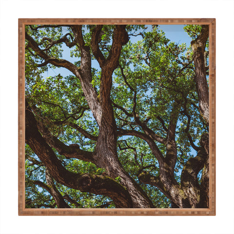 Bethany Young Photography Texas Cottonwood Square Tray