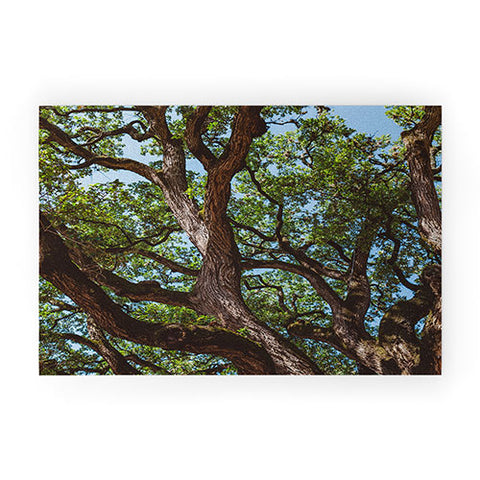 Bethany Young Photography Texas Cottonwood Welcome Mat