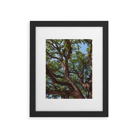 Bethany Young Photography Texas Cottonwood Framed Art Print