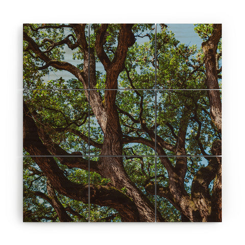 Bethany Young Photography Texas Cottonwood Wood Wall Mural