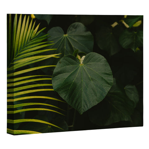 Bethany Young Photography Tropical Hawaii Art Canvas
