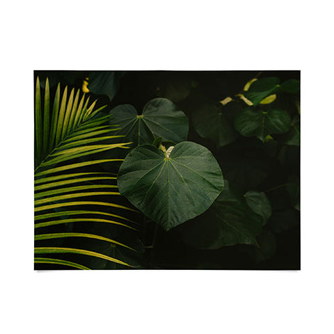 Bethany Young Photography Tropical Hawaii Poster