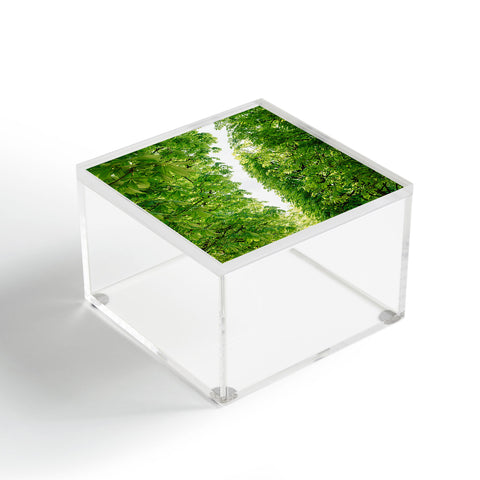 Bethany Young Photography Tuileries Garden IV Acrylic Box
