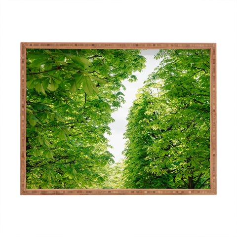 Bethany Young Photography Tuileries Garden IV Rectangular Tray