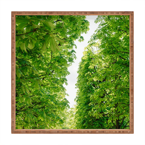 Bethany Young Photography Tuileries Garden IV Square Tray