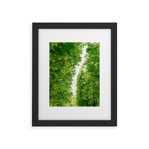 Bethany Young Photography Tuileries Garden IV Framed Art Print