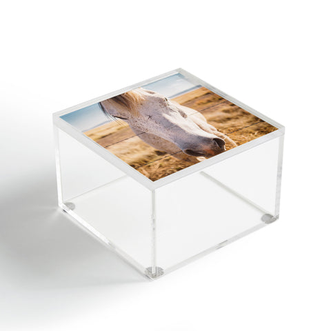 Bethany Young Photography West Texas Wild Acrylic Box