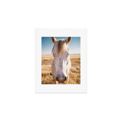 Bethany Young Photography West Texas Wild Art Print