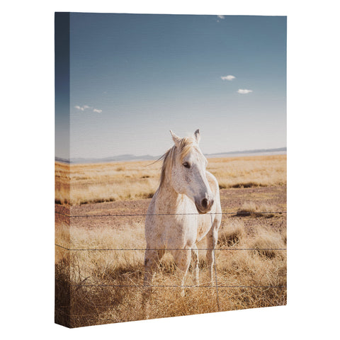 Bethany Young Photography West Texas Wild II Art Canvas