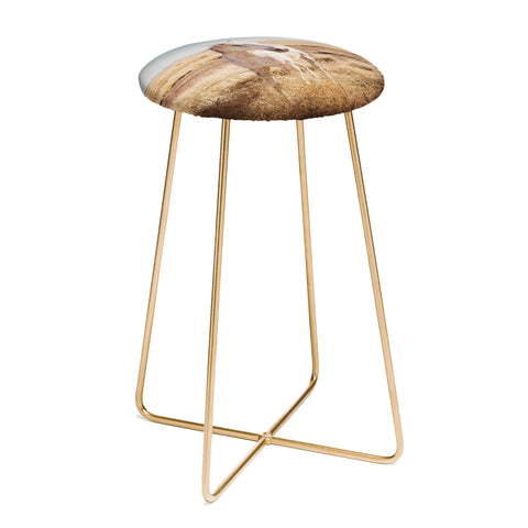 Bethany Young Photography West Texas Wild II Counter Stool