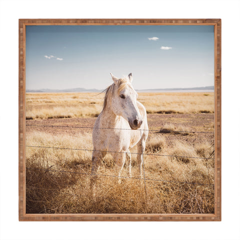 Bethany Young Photography West Texas Wild II Square Tray