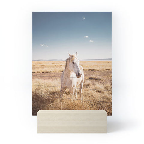 Bethany Young Photography West Texas Wild II Mini Art Print