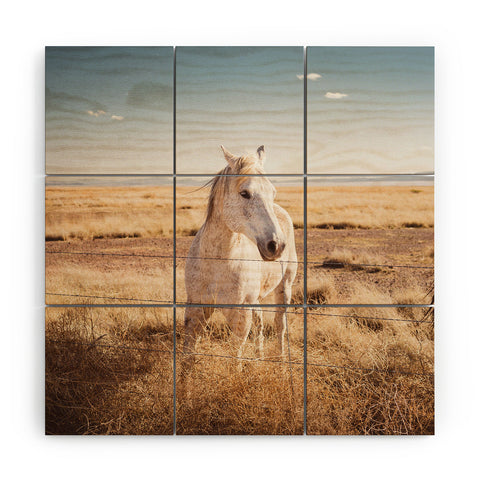 Bethany Young Photography West Texas Wild II Wood Wall Mural