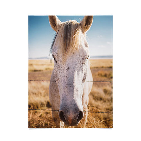 Bethany Young Photography West Texas Wild Poster