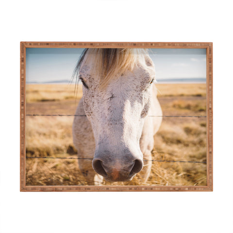 Bethany Young Photography West Texas Wild Rectangular Tray