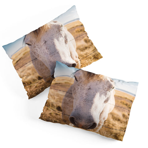 Bethany Young Photography West Texas Wild Pillow Shams