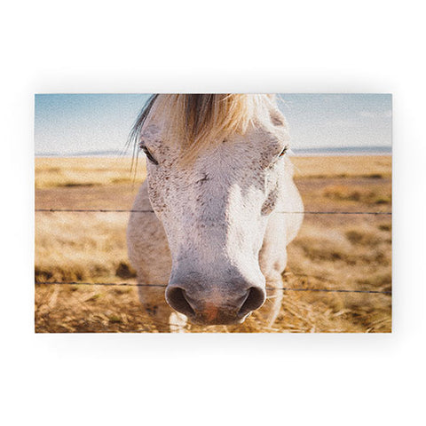 Bethany Young Photography West Texas Wild Welcome Mat