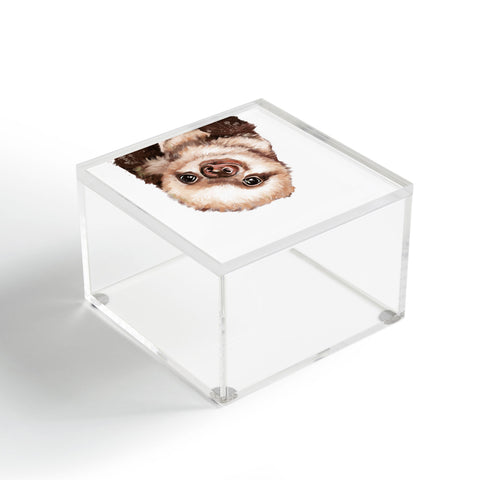 Big Nose Work Baby Sloth Acrylic Box