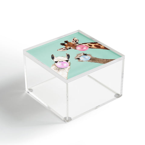 Big Nose Work Bubble Gum Gang in Green Acrylic Box