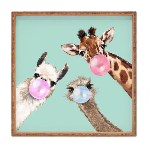 Big Nose Work Bubble Gum Gang in Green Square Tray