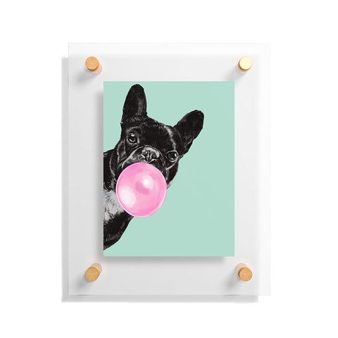Big Nose Work Bubblegum French Bulldog Floating Acrylic Print