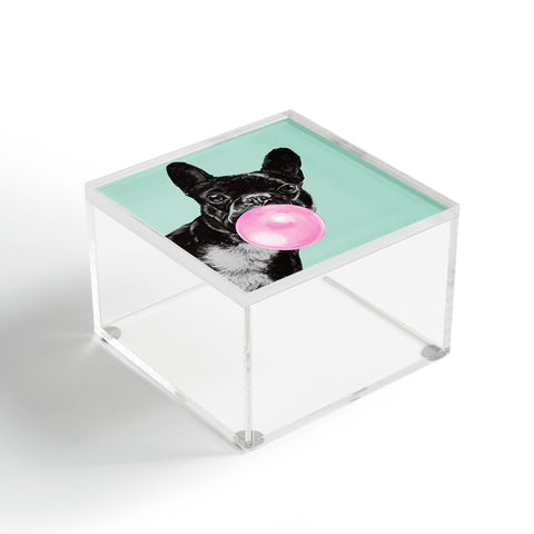 Big Nose Work Bubblegum French Bulldog Acrylic Box