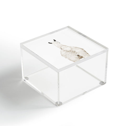 Big Nose Work Llama Butt Acrylic Box