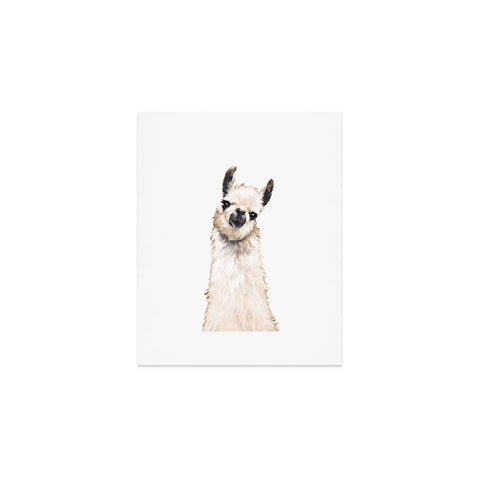 Big Nose Work Llama Portrait Art Print