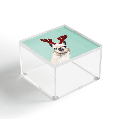 Big Nose Work Llama Reindeer Green Acrylic Box